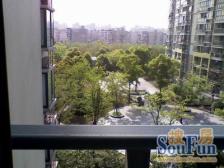 电梯房,大开间,闹中取静,居家装修