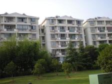 阳光三房,每一寸空间都洒满温暖