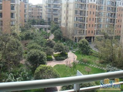 光辉岁月实景图