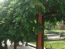 房东诚心卖房,急需资金周转