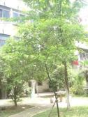 子固路近地铁拎包可入住出行方便