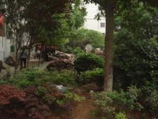 子固路户型方正,采光好装修好,环镜优美近地铁视野好,诚心出售