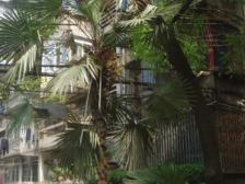 贤士湖住宅小区二室一厅房东诚心出售