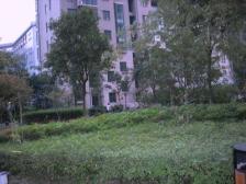 北滨江一线江景,三开间朝南,精装拎包入住,地铁口