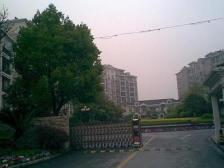 近地铁,无抵押 精装 电梯房,新上房源