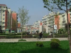 丽阳嘉园2室1厅西北