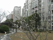 绿水家园 5室3厅3卫