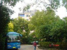 新上,一楼带院子,无户口,边套全明,有钥匙,找小刘