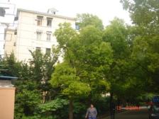 长桥五村·1室·1厅,全明户型,客厅带窗,南北通透,不靠马路