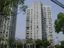 金虹大厦 3室1厅 东南