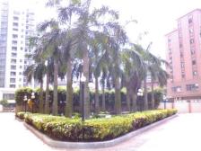 虎门金色阳光大三房采光好格局方正 满五唯一看房方便