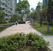 必看好房 凤凰楼层 税费各付 地铁900米 随时看