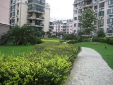 南北通透+园林式小区+半人车分流+近地铁+前滩辐射区