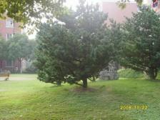 兰教三房 南北通 闹中取静 楼层好 税费少 近地铁商圈