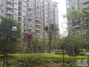 金沙顺苑 3室2厅 西南