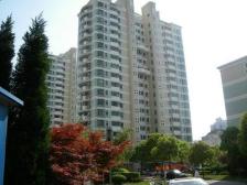 一梯两户,全南户型,两房朝南,繁华地段,近地铁,居家装修,房型正气,价格好谈