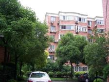 天山·天山新苑·新上双南送双院子,小区中间位置,诚心卖