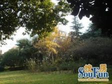 电梯房,中高区,边套全明,精装修,采光好,视野开阔