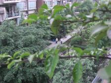 四公里 竞地溯源居三房108万