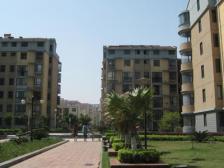 格林晴天 南北通透两房 视野开阔 小区环境优美 房东诚售