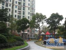 好房子,花心位置,有个大院子,业主诚意出售