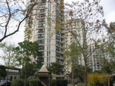 丽都成品 1室2厅 南