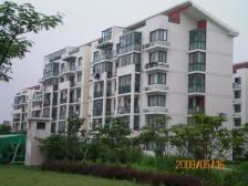 飞机户型 楼层位置号 采光视野无遮挡 急售好房