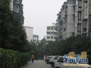 锦桂苑3室1厅东西