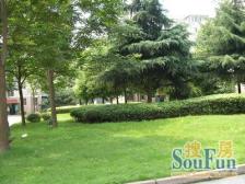 古美罗阳·古龙苑·3室·2厅