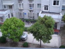 爱屋急售!家门口就是滨江,三期徐汇龙庭!仅在卖