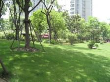 南北通,东边套,全明户型,满五年,看小区绿化