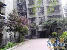 红运花园馨苑3室2厅东南