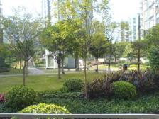 回龙湾 2室2厅 南 北