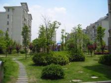 5楼复式,无遮挡采光视野好自住精装,双露台阳光房