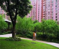 台湾设计师专门设计木系风装修,两房加一个书房