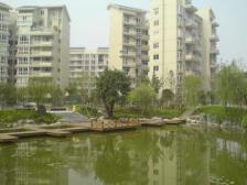 一碗水 金香林二房51.5万