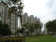 松江新城 精装三房 南北通透 分机户型