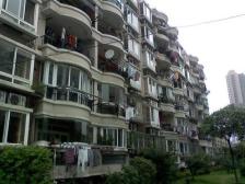 岚皋馨苑经典一房,真如center,高热度小区