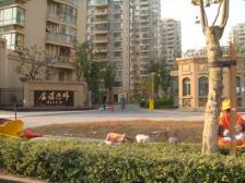 三林·金谊河畔·少年离家 上海打拼多年,是时候给个人一个家了