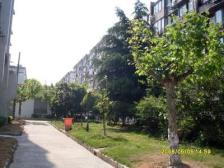 01年商品房+6/12号线 +南北大两房+送阁楼+小区花园位