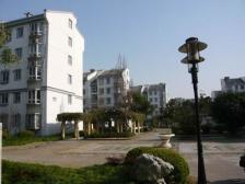 紫藤新园 2室2厅 南