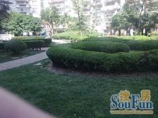 建玮公寓2室南朝向630.00万元/套出售