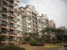 中间楼 层业主 价格低 实用3房 配套齐生活方便