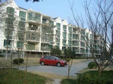 精装 满五 无抵押 新上房源