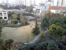 独栋别墅,大开间,交通便利,精装修,采光充足