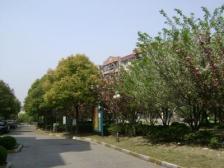 近地铁 精装 无抵押,现场实勘 急售房源