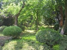 经开区 回龙湾小区五房150万