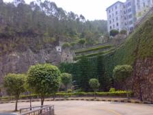 保养好 楼层好 景观视野好 交通便利