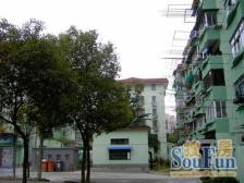 大区推荐+带院子双南两房+温馨舒适的家