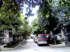 紫荆巷56号院 1室1厅 南